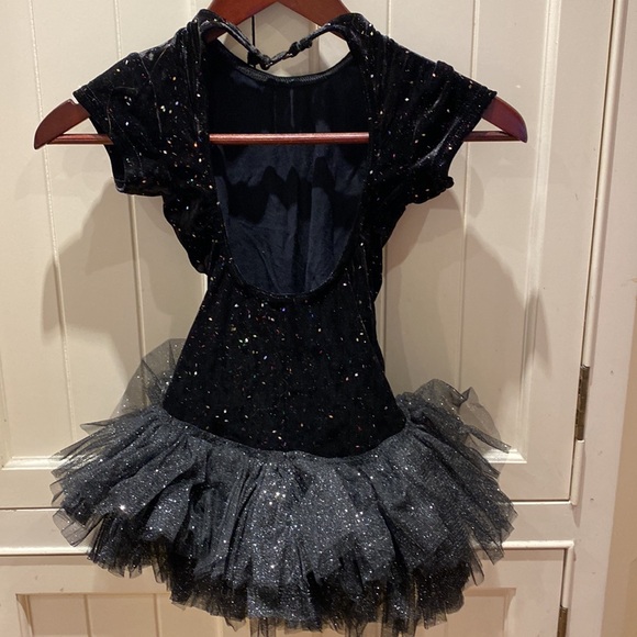 STUNNING DANCE COSTUME by Effie Mathews Size 12/14 - Picture 3 of 7